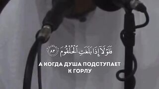 Islamic video chat 5