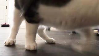 Tumtum