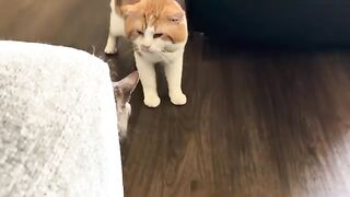 He’s bigger than you