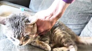 The face of jealousy