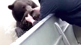 How the mother bear and her cub were rescued?