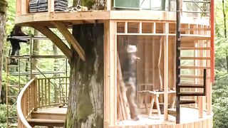 Luxury Treehouse Build Timelapse in the Forest #luxury #treehouse #timelapse #forest