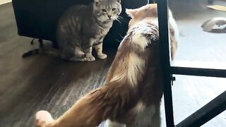 Complainy mccomplainerson