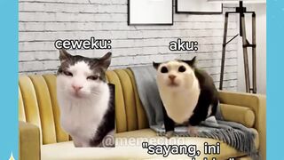 ingat guys, mulutmu harimaumu
