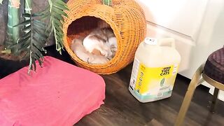touch 2