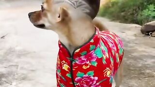 TikTok video chat 5