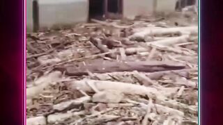 Hari ini, terlihat video yang menunjukkan kayu