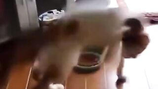 I’ve Watched This 10 Times and It’s Still Funny