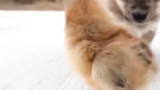 Who The Worst Cute In There ??