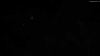 Mamonogurai no Boukensha ~Ore Dake Mamono wo Kuratte Tsuyoku Naru~ Episodes 7