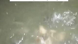 Pakan Alternatif dikolam terpal❗Saya tidak merekomendasikan
