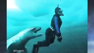 Ditenggelamkan oleh Anjing laut macan tutul hingga t*was
