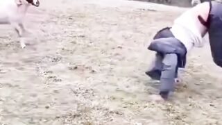 Expect the Unexpected: Epic Fails & Funny Moments"
