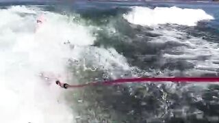 Gravity always wins