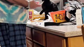 tolong kucing nyaaa kok bisa gituu