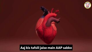 کراچی میں دل کی بیماریاں – وجوہات اور بچاؤ