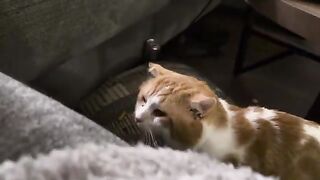 Ima get him