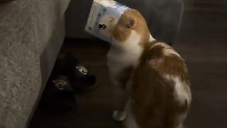 He did this to himself