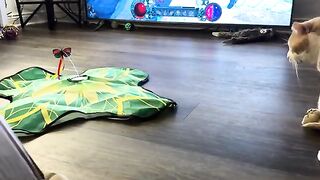 Jaden found a new toy