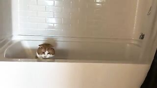 What are you doing there