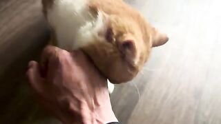 Teefs kisses