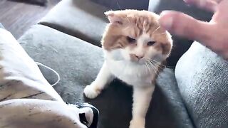 You been getted