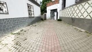 A stray Siamese cat lovingly and affectionately asks for food.