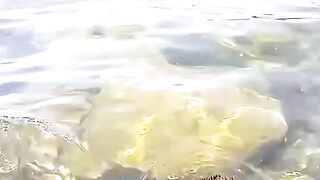 You Will Must Laugh In 5 Seconds #funnyreels #funtime #funnyvideo #usa #laughinggas