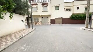 I fed the cute stray cats and gave them love and delicious food.