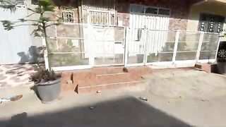 We visited Mama the Cat and her kittens and gave them love and food.