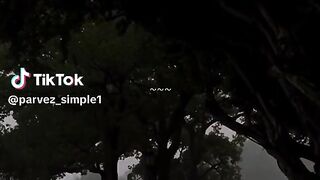 Beautiful song 75