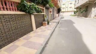 A very jealous stray cat is chasing Ginger away from us.