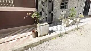 The kittens started to leave the house and follow their mother.