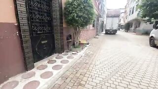 We visited Mama the Cat and her kittens to check on them and feed them.