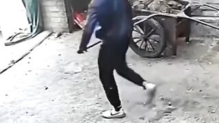 Amazing cats 19