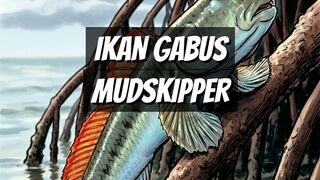 Ikan Gabus dan Mudskipper Bisa Berjalan di Darat