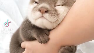 So Cute Other