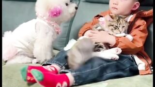 Amazing cats 21