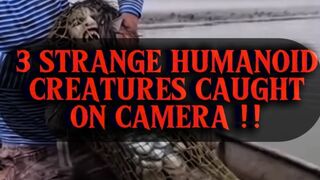 3 STRANGE HUMANOID CREATURES CAPTURED IN REAL LIFE