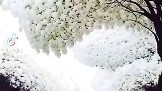 Beautiful scenery 39