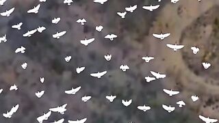 Beautiful Amazing 2