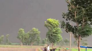 Amazing Weather