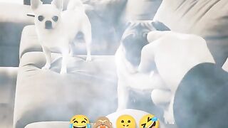 Funny Seen 38