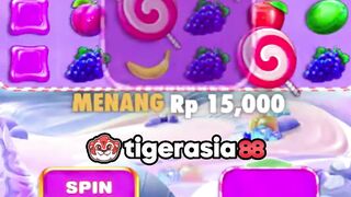 Bonanza 1000 masih menunjukkan kelasnya - Tigerasia88