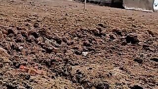 Bulldozer