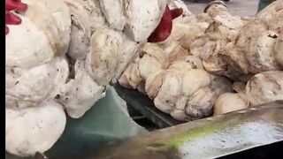Asmr farming rubber