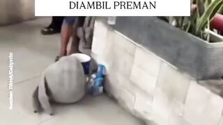 Masa anak anak yang indah hilang karena perbuatan orang orang yang tidak bertanggung jawab 2