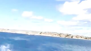 You Will Must Laugh In 5 Seconds #funnyreels #funtime #funnyvideo #usa #laughinggas