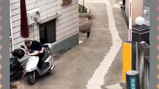 Palangnya Punya Dendam