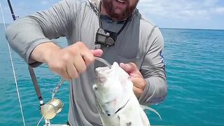 Wow! The big fish monster